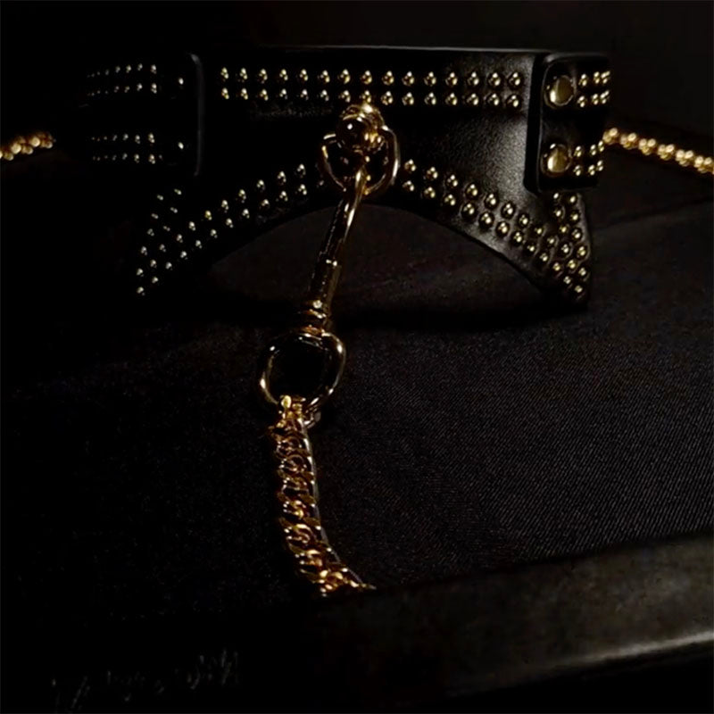 TABOOM Vogue PU Studded Collar & Leash