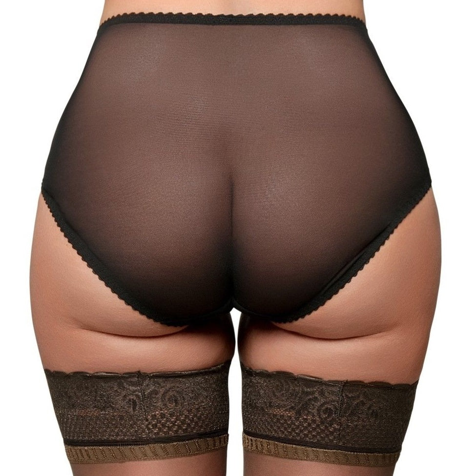 Load image into Gallery viewer, Nylon Dreams Sheer Betty Knickers With 4 Way Stretch - Leggsbeautiful
